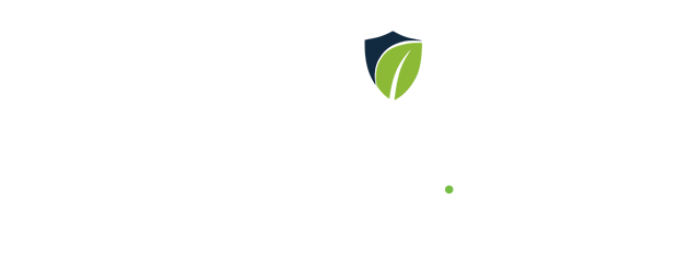 logo 30 años liceo