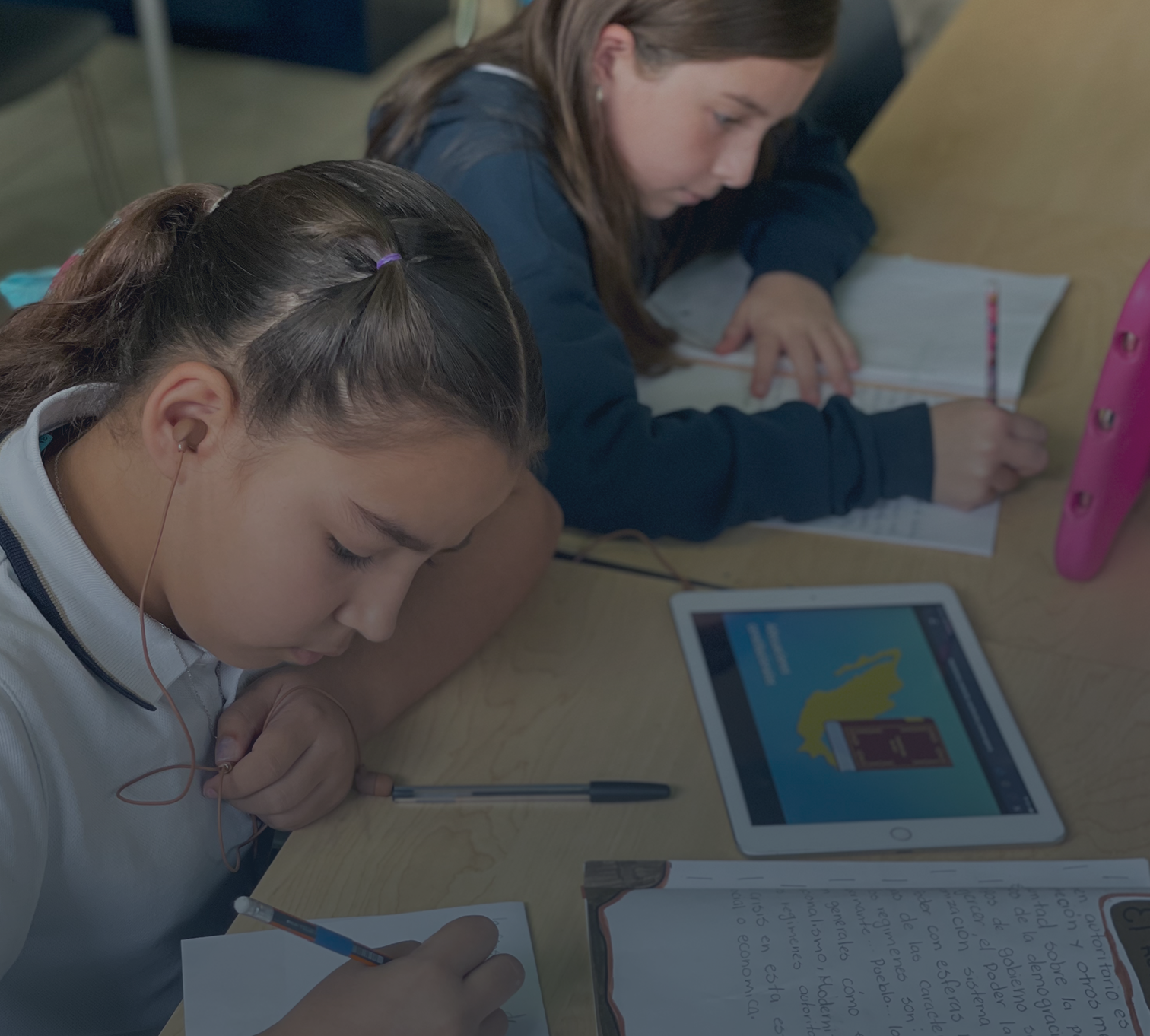 Capacitación de docentes