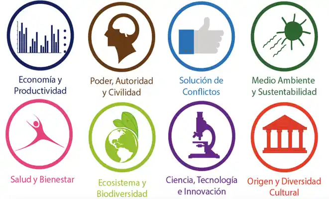 Mapa Curricular